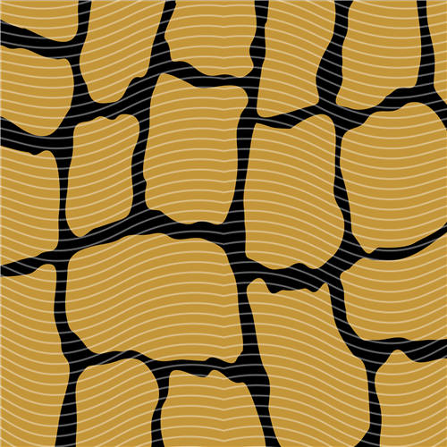 holographic Big- 412